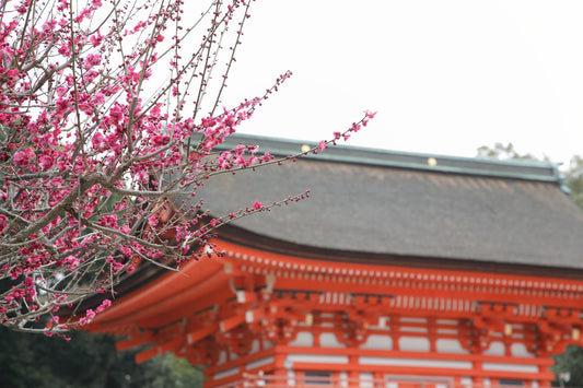 京都・下鴨神社の節分祭によせて─祓い清め、福を招く「恵方巻」